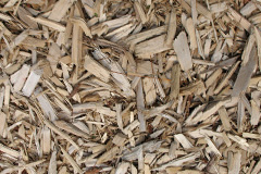 biomass boilers Bengrove